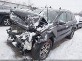 Miniaturka zdjęcia 2