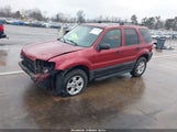 Ford Escape Xlt 1FMYU93145KC75006 снимка