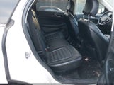 Miniaturka zdjęcia 8