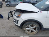 Miniaturka zdjęcia 6