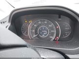 Miniaturka zdjęcia 7