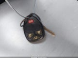 Miniaturka zdjęcia 11