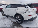 Nissan Murano Sl Intelligent Awd 5N1AZ2C2LN167000 fotografie