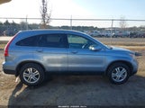 Honda Cr-V Ex-L 5J6RE3H72AL049223 photo