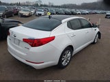 Miniaturka zdjęcia 4