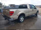 Ford F-150 Xlt 1FTEX1CM1CFA61025 снимка
