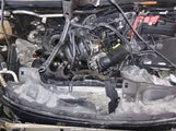 Ford Fiesta Titanium 3FADP4FJXJM139559 снимка