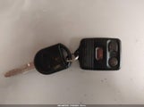Miniaturka zdjęcia 11