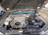 Hyundai Sonata Gls V6/Lx V6 5NPEU46F56H024058 fotografie