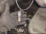 Miniaturka zdjęcia 11