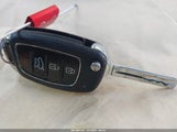 Miniaturka zdjęcia 11