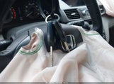 Miniaturka zdjęcia 11