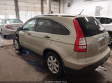 Miniaturka zdjęcia 3