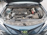 Toyota Camry Le 4T1C11AKXMU554687 fotografie