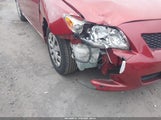 Toyota Corolla Le JTDBL40E099035410 снимка