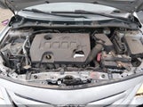 Toyota Corolla Le JTDBU4EEXB9159146 photo