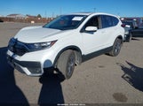 Miniaturka zdjęcia 2