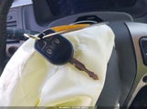 Miniaturka zdjęcia 11
