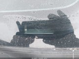 Miniaturka zdjęcia 9