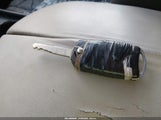 Miniaturka zdjęcia 11