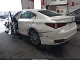 Miniaturka zdjęcia 3