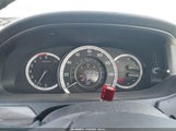 Miniaturka zdjęcia 7