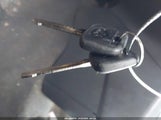 Miniaturka zdjęcia 11