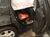 Miniaturka zdjęcia 8