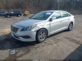 Hyundai Sonata 5NPE24AF6GH400524 снимка