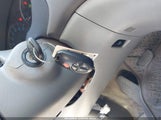 Miniaturka zdjęcia 11