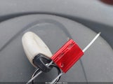 Miniaturka zdjęcia 11