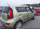 Miniaturka zdjęcia 6