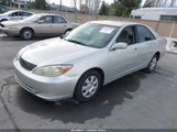 Miniaturka zdjęcia 2