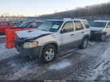 Ford Escape Xlt 1FMYU03122KC73150 снимка