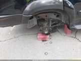 Miniaturka zdjęcia 6