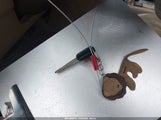 Miniaturka zdjęcia 11