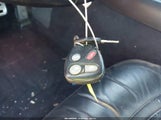Miniaturka zdjęcia 11
