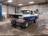 Ford Bronco U100 1FMEU15H4TLB39206 снимка