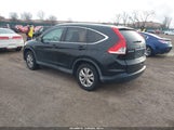 Miniaturka zdjęcia 3