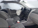 Miniaturka zdjęcia 5