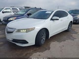 Miniaturka zdjęcia 2