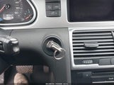 Miniaturka zdjęcia 11