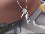 Miniaturka zdjęcia 11