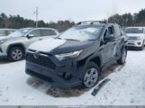 Toyota Rav4 Xle 2T3P1RFVXSW613826 снимка
