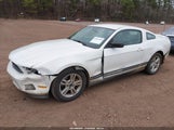 Ford Mustang V6 1ZVBP8AM7B5123883 снимка