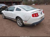 Ford Mustang V6 1ZVBP8AM7B5123883 снимка