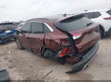 Miniaturka zdjęcia 6