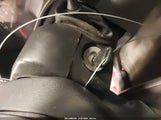 Miniaturka zdjęcia 11