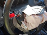Miniaturka zdjęcia 11