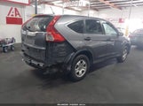 Honda Cr-V Lx 3CZRM3H32FG716084 снимка